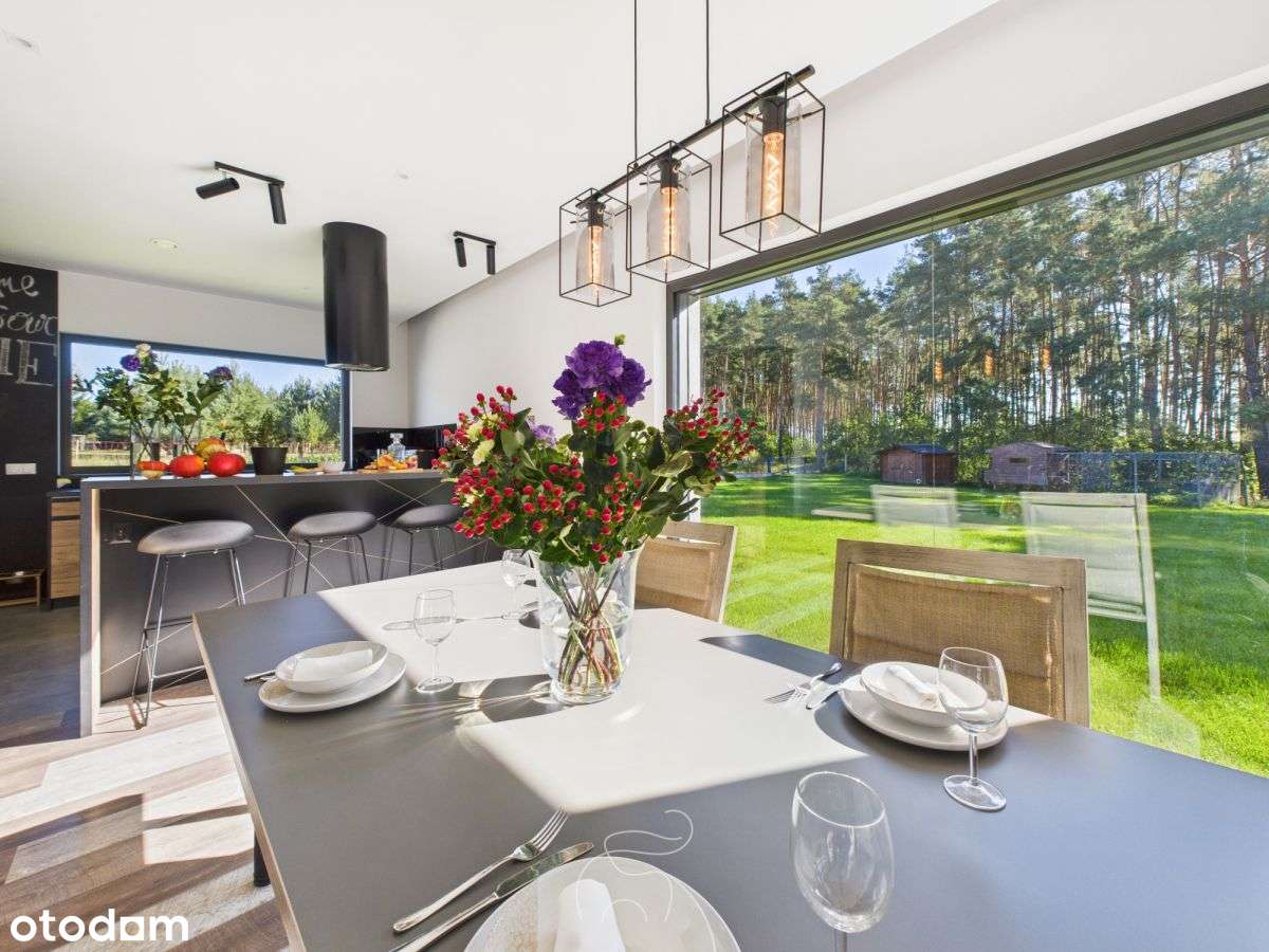 Dom przy ścianie lasu - Pełny obrazek: 5/18