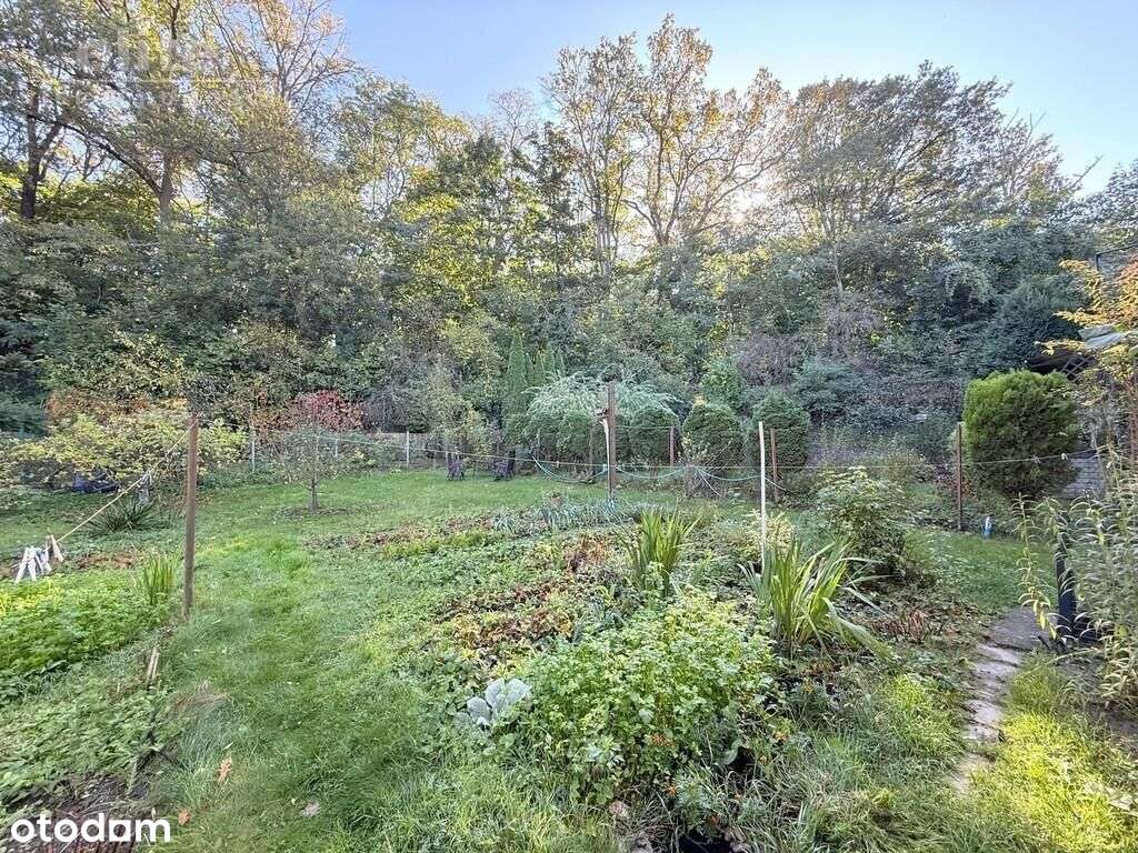 Podjuchy dom 5 pok +garaż, Widok na Puszczę Bukową - Pełny obrazek: 3/18