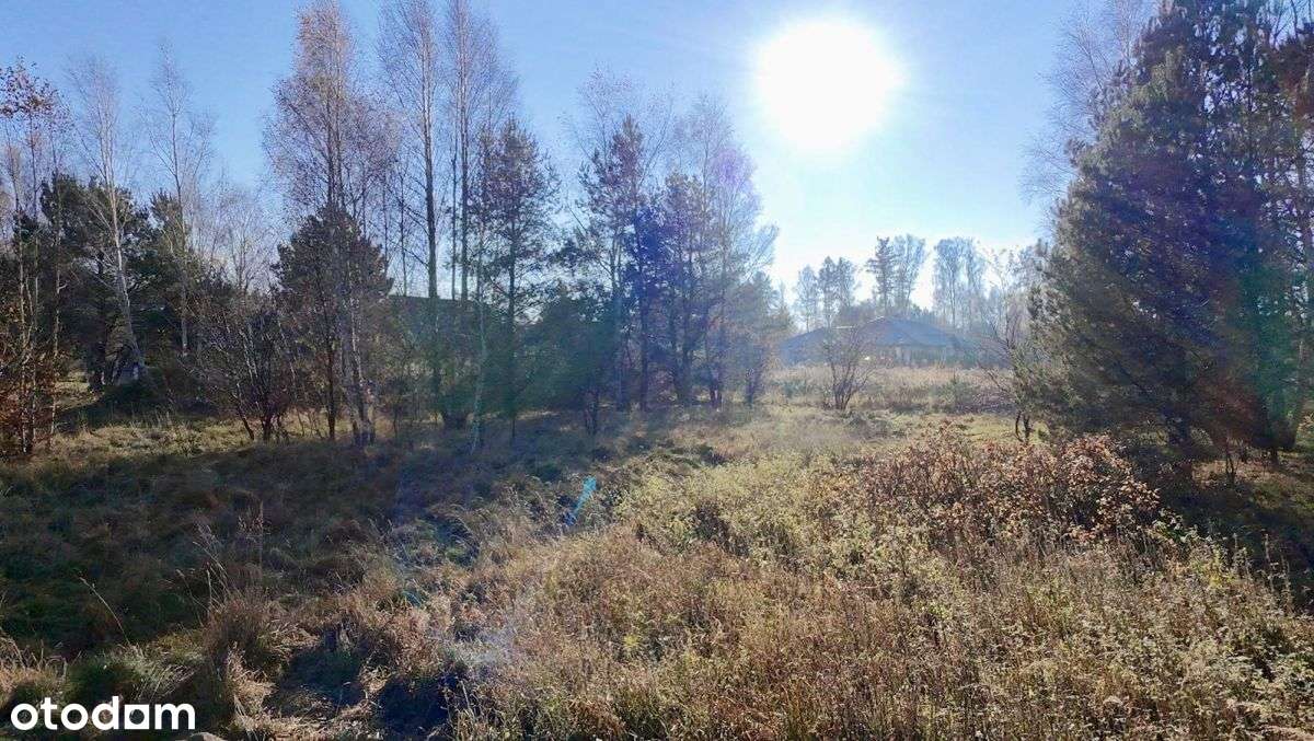 Sprzedam działkę w Miszewku- blisko lasu i jeziora-9