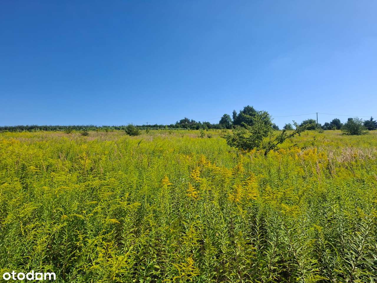 Widokowe działki budowlane - Zagórzyce Dworskie k/Michałowic-6