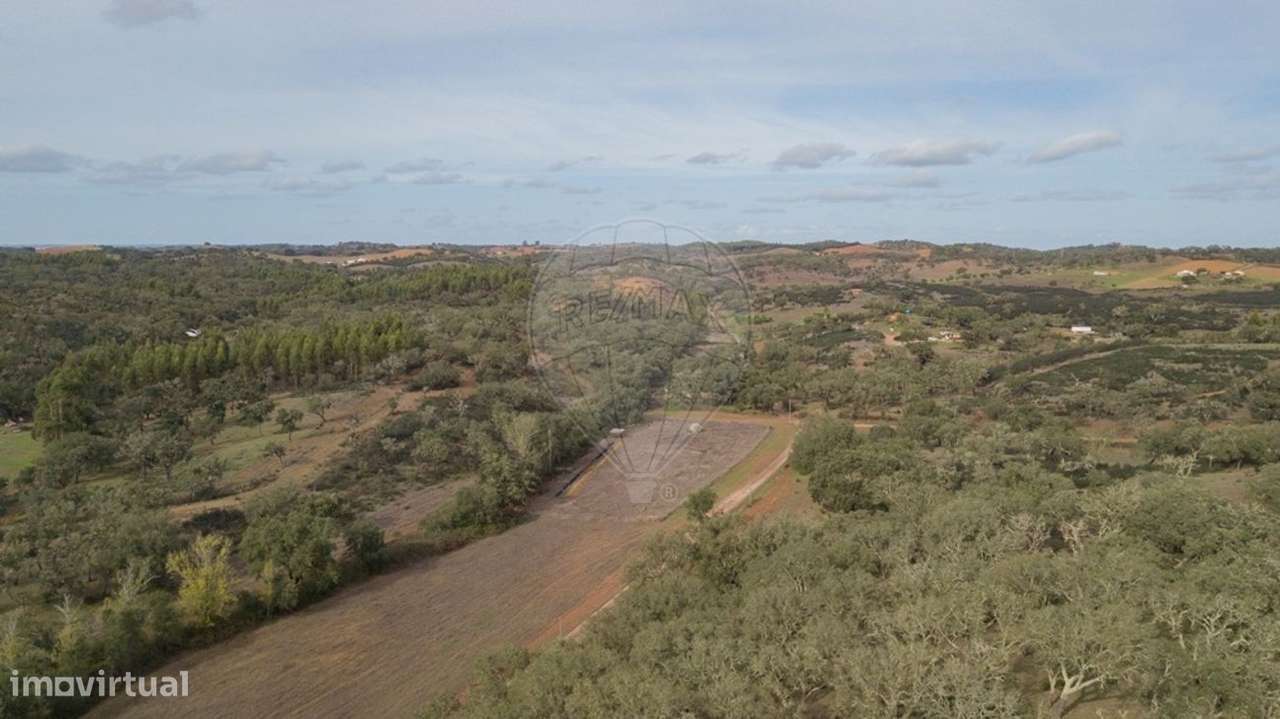 Quinta T2 para venda - Grande imagem: 4/24