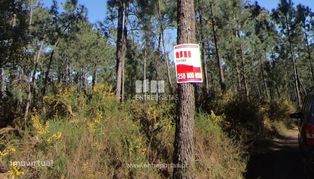 Venda de Terreno, Subportela, Viana do Castelo - Grande imagem: 4/22