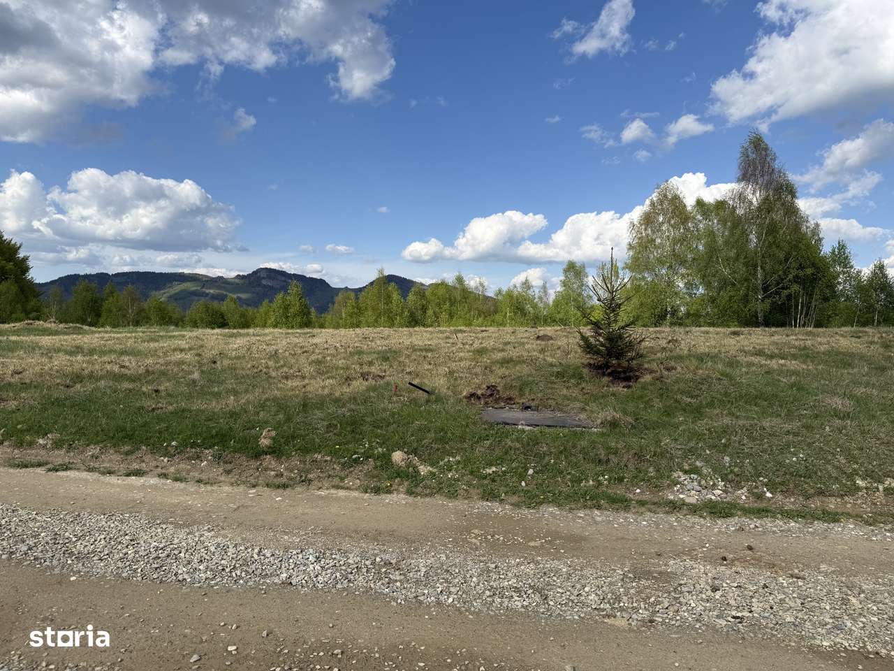 Teren intravilan 1000 mp in Pestera, Comuna Moieciu la 12 km de Bran-4