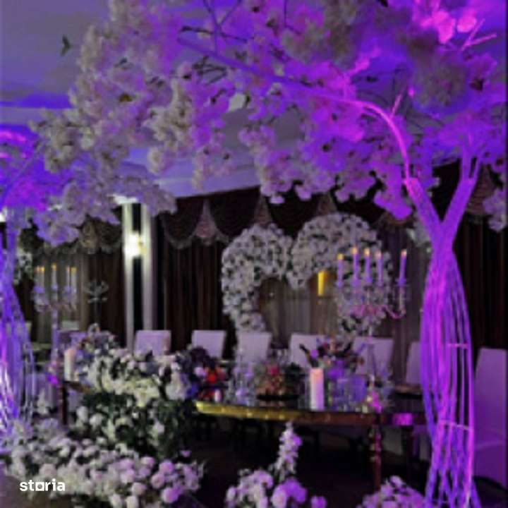 Restaurant Ballroom | Casa Luminita | 5 saloane | Pallady-9