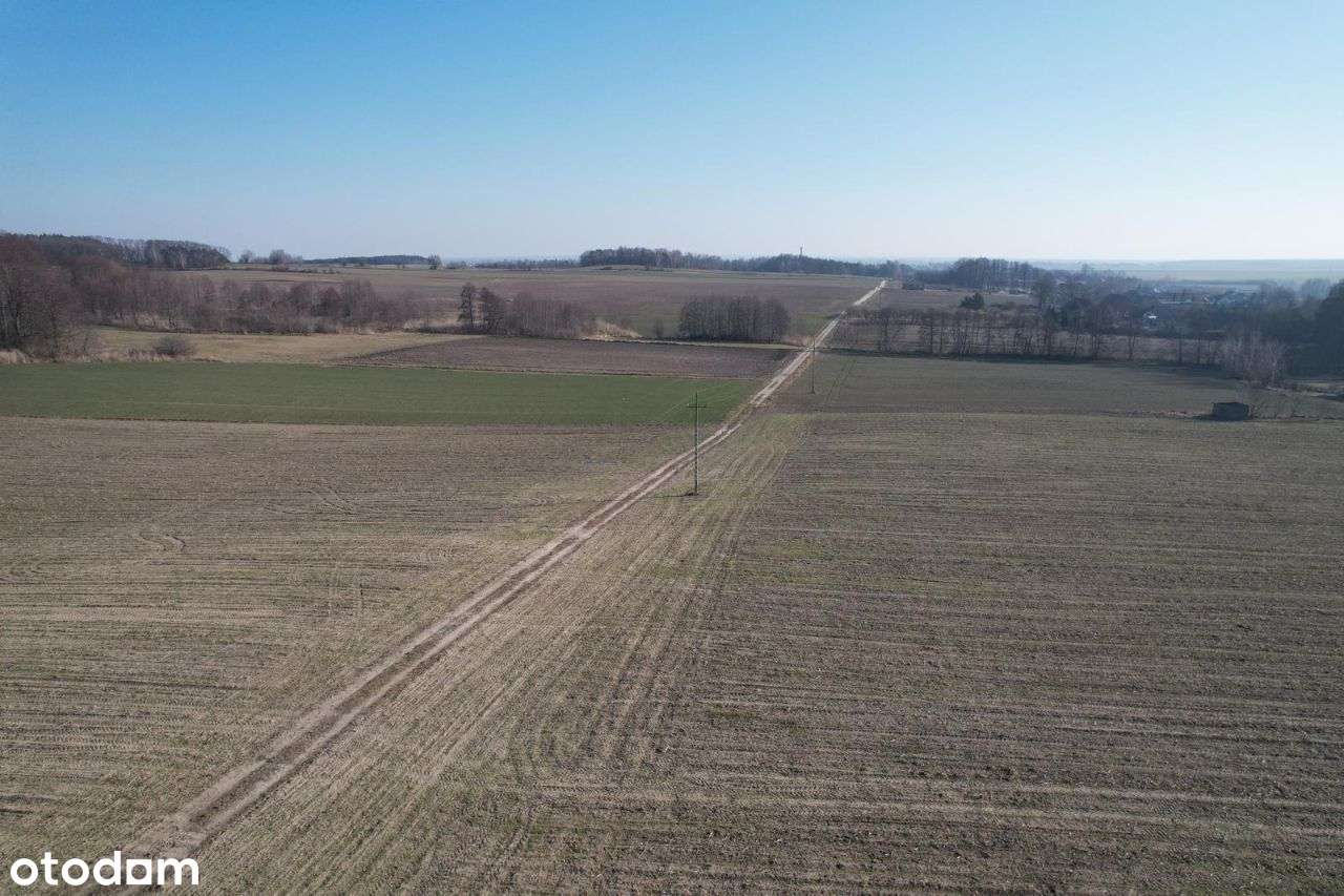 Dziaka budowlana Syców, Perzów, Kępno ,Koza Wielka - Pełny obrazek: 4/9