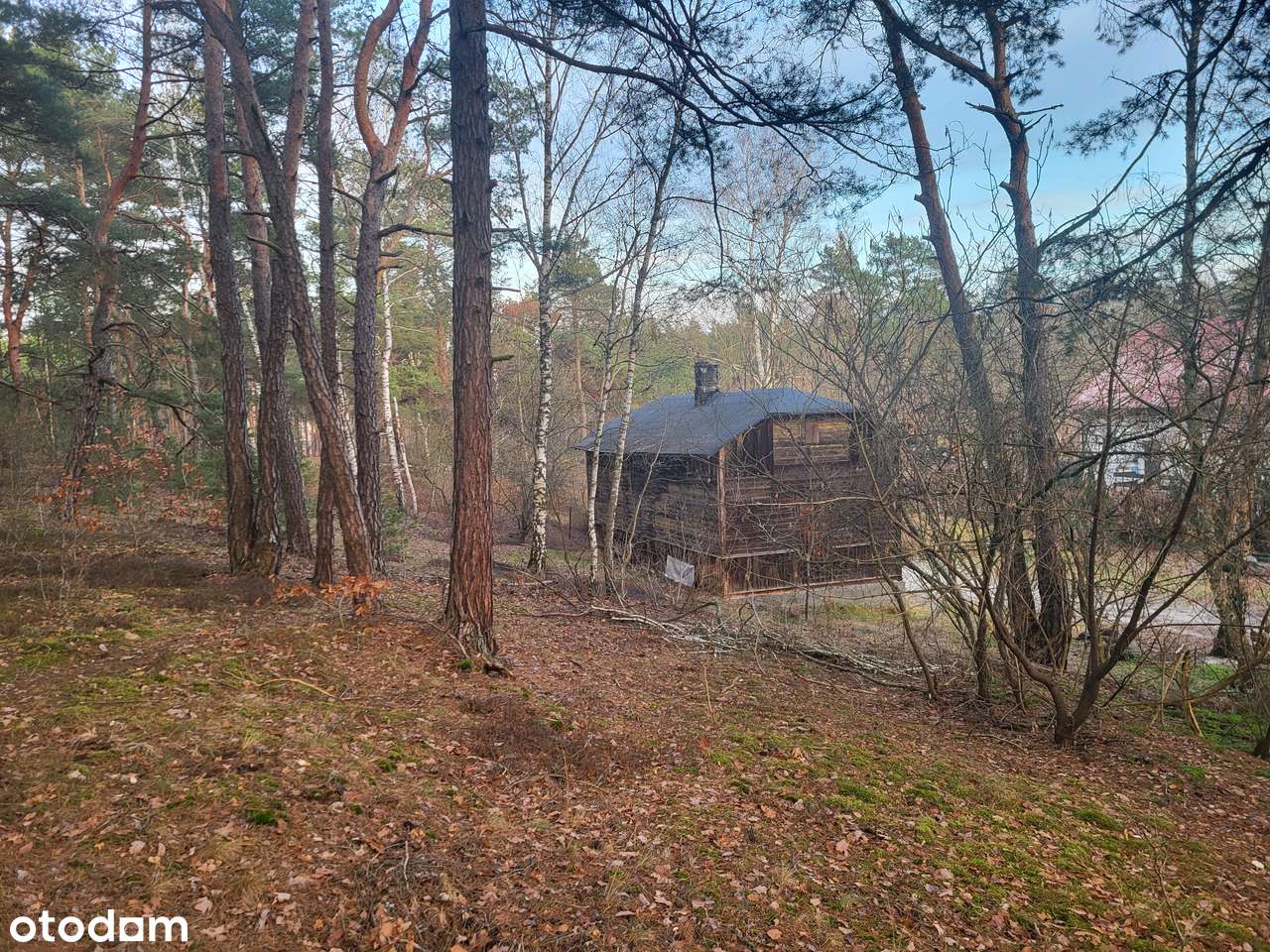 Działka, 2 199 m², Józefów - Pełny obrazek: 4/11