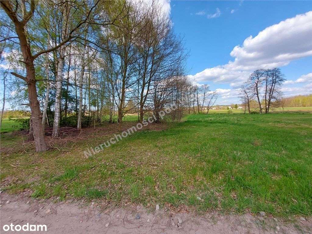 Urocza Działka Z Linią Brzegową - Pełny obrazek: 5/19