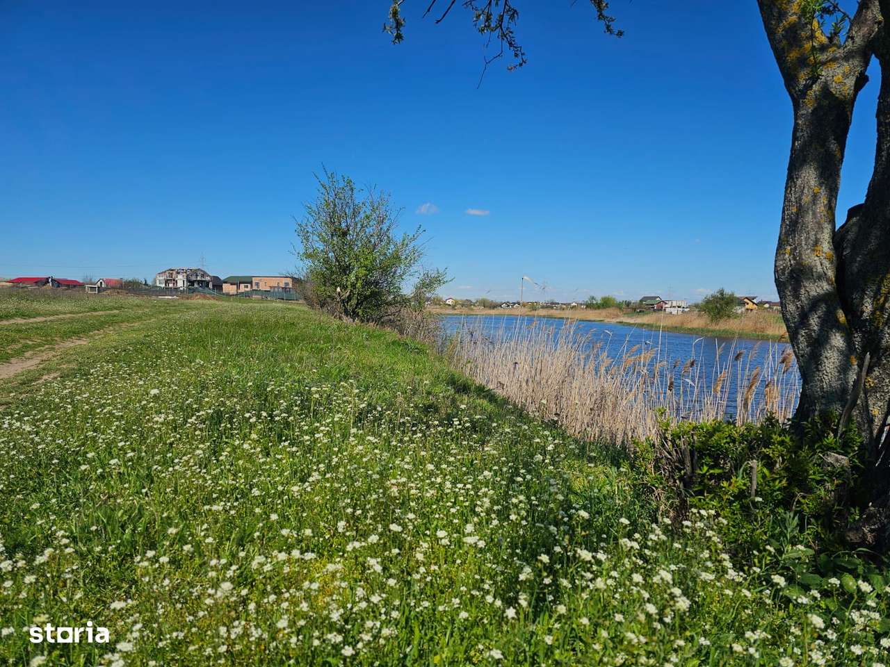 TEREN imprejmuit direct la lac – 2 loturi comuna Berceni, Ilfov.-1