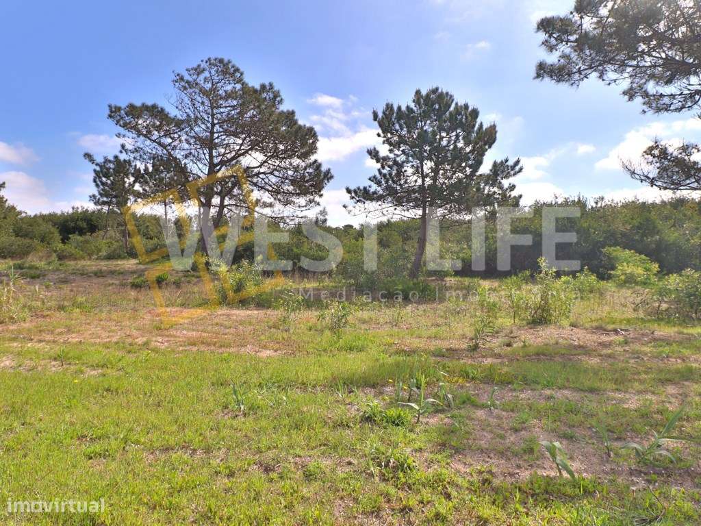 Terreno URBANO com 45.000m2 PLANO com grande potencial e ótima loca... - Grande imagem: 5/13