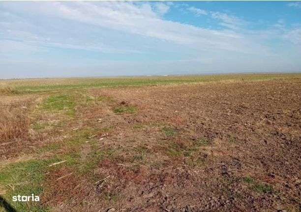 cota de 3/8 din teren extravilan, Sacosu Turcesc, Jud Timis-0