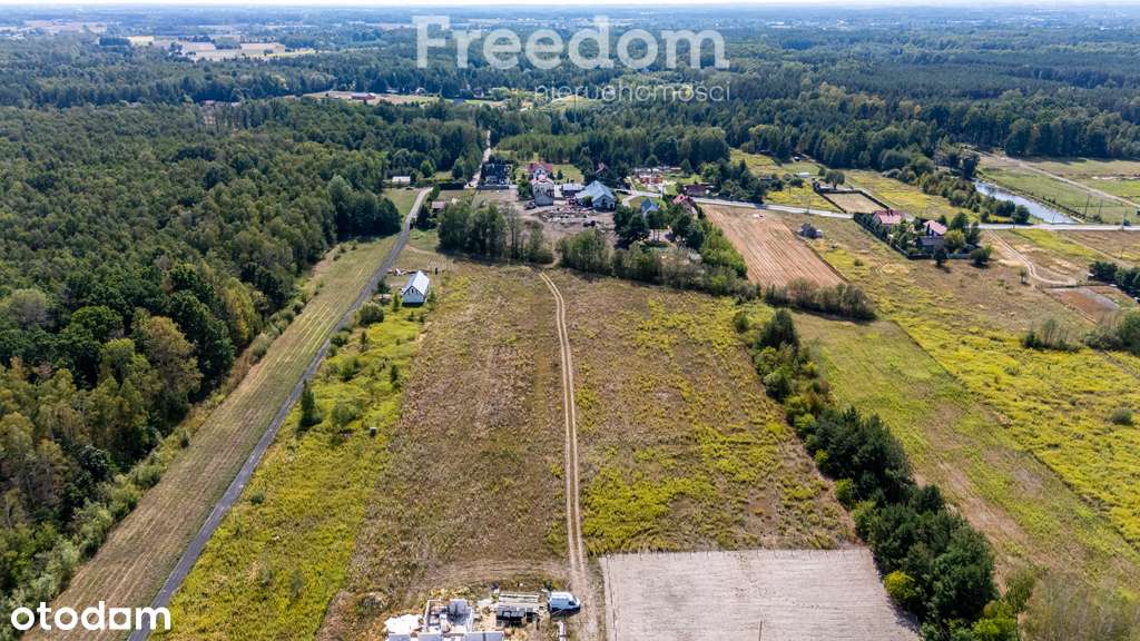 Atrakcyjna działka 2,7 ha w Nowym Prażmowie - Pełny obrazek: 5/20