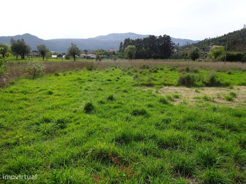 Terreno agrícola na Cabração- Ponte de Lima - Grande imagem: 2/5