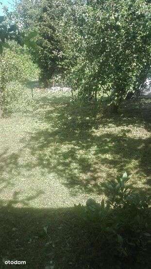 Działka ogrodnicza-1