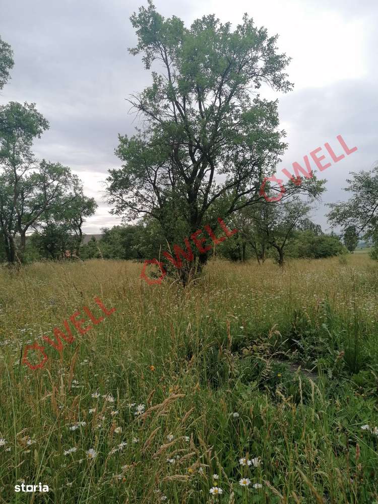 De vânzare două parcele de teren intravilan în Harale (Ghelința) - Imagine principală: 2/7