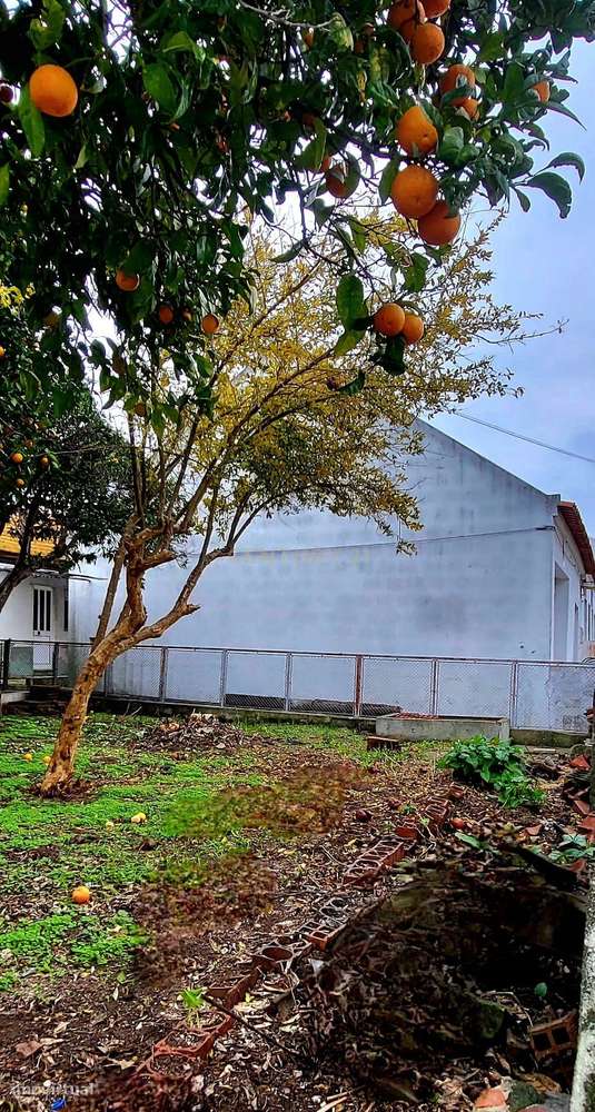 Terreno Para Construção 201 m2 - Grande imagem: 4/4