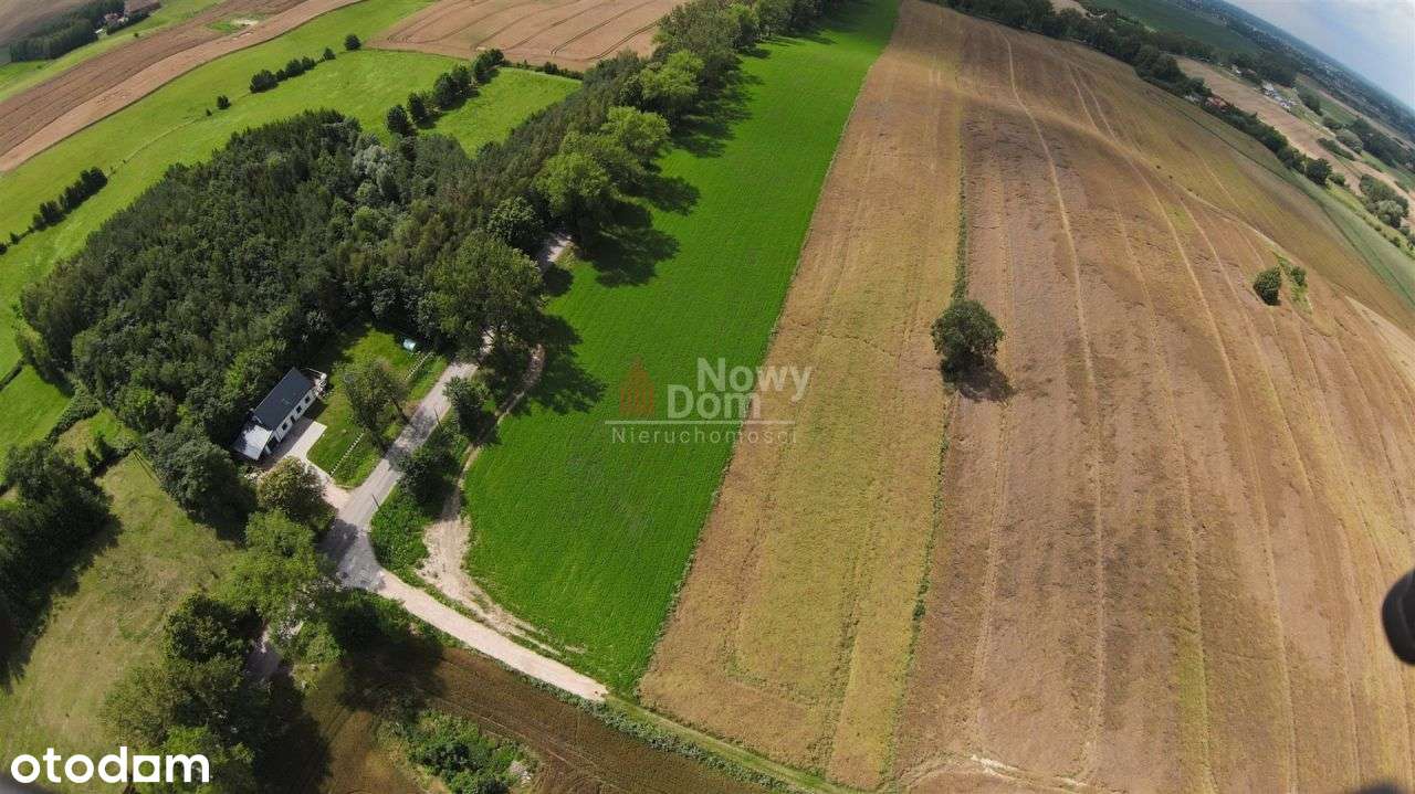 Atrakcyjna Działka Zw Pobliżu Giżycka! - Pełny obrazek: 5/5