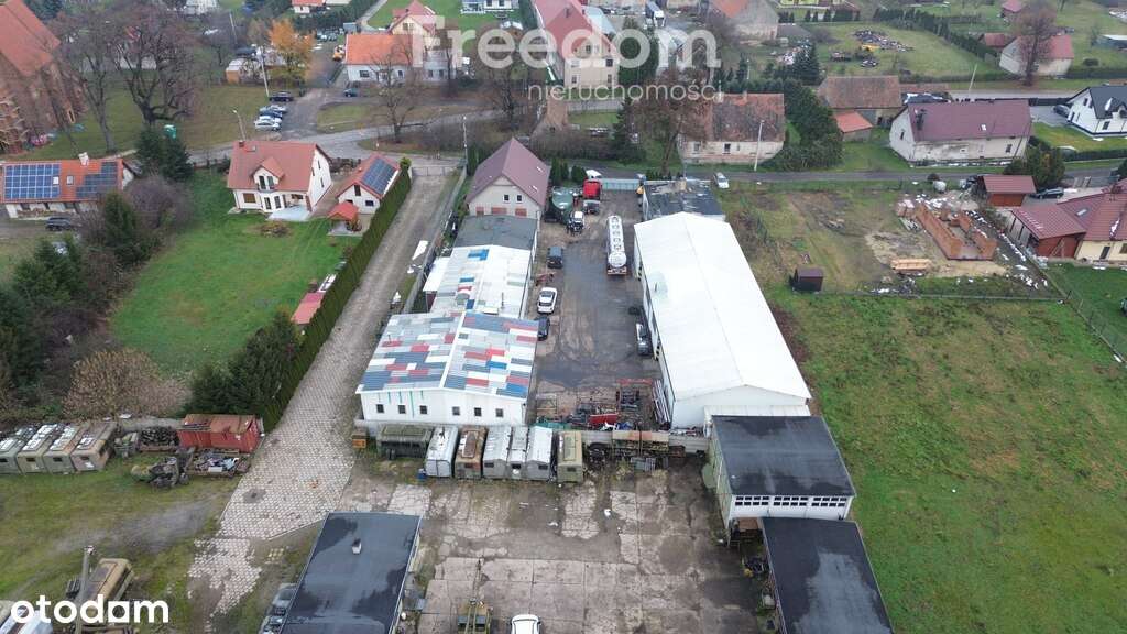 Nieruchomość inwestycyjna na sprzedaż- Zielęcice - Pełny obrazek: 3/19
