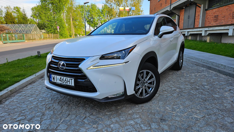 Lexus NX - 2