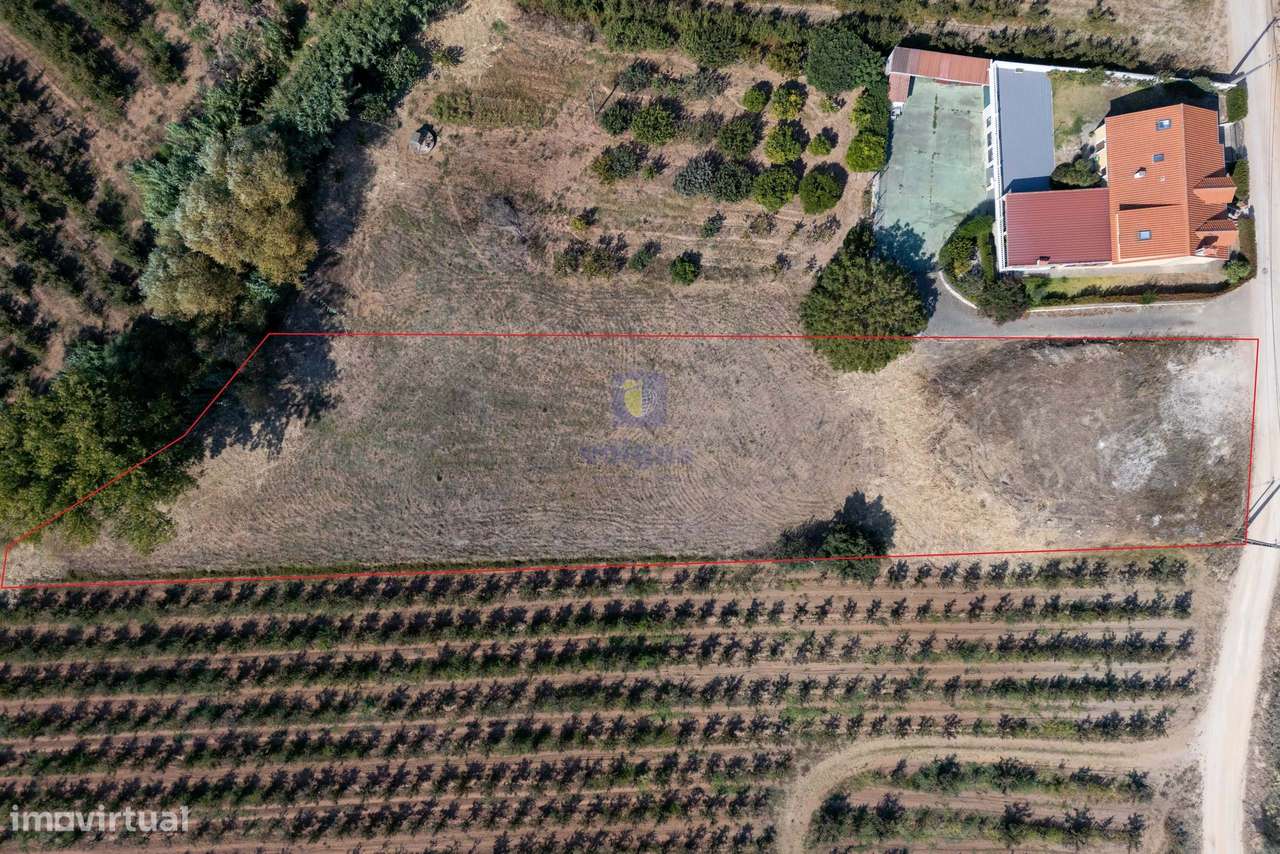 Exclusivo! Terreno urbanizável com 3.020m2 na Vermelha, Cadaval - Grande imagem: 4/24