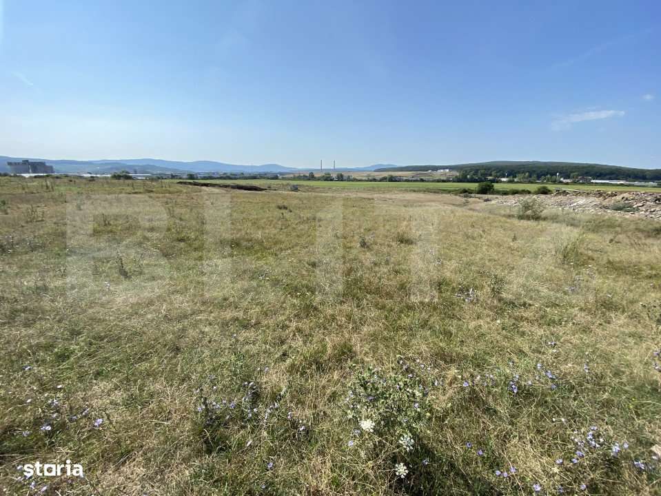 Teren extravilan Criseni, 3800 mp - Imagine principală: 4/5