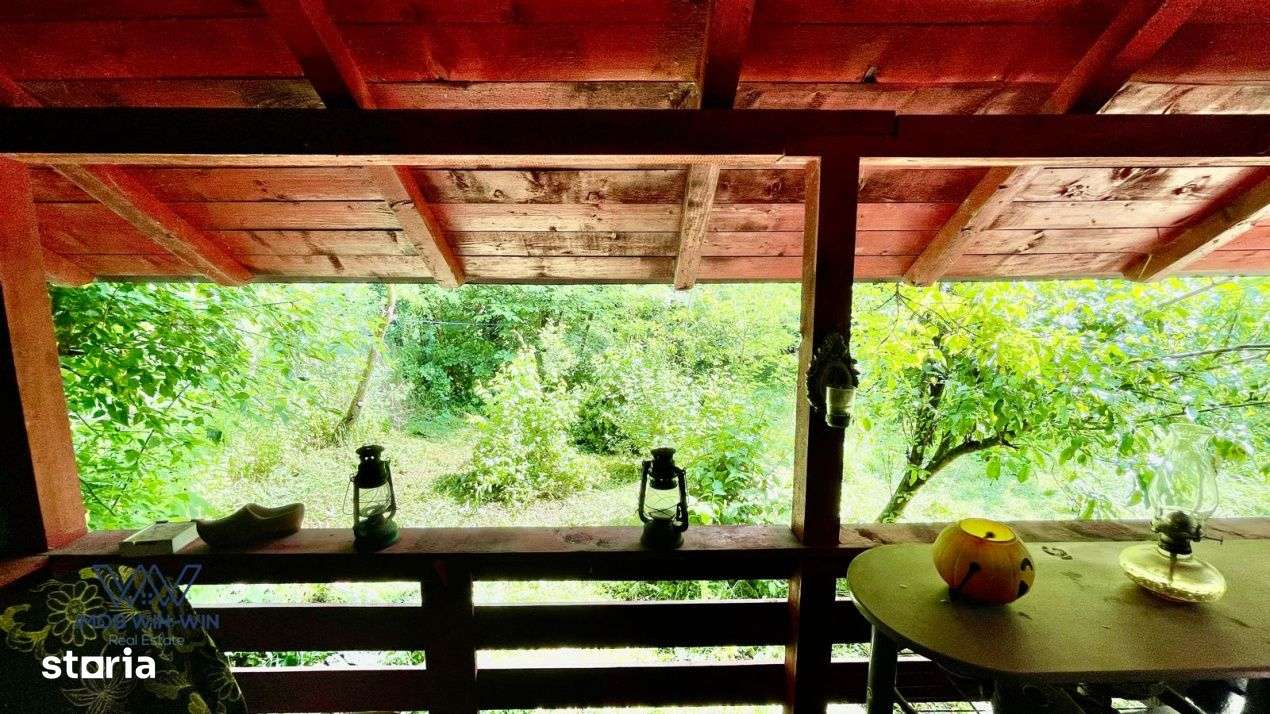 Casa Vacanta Babana!-4