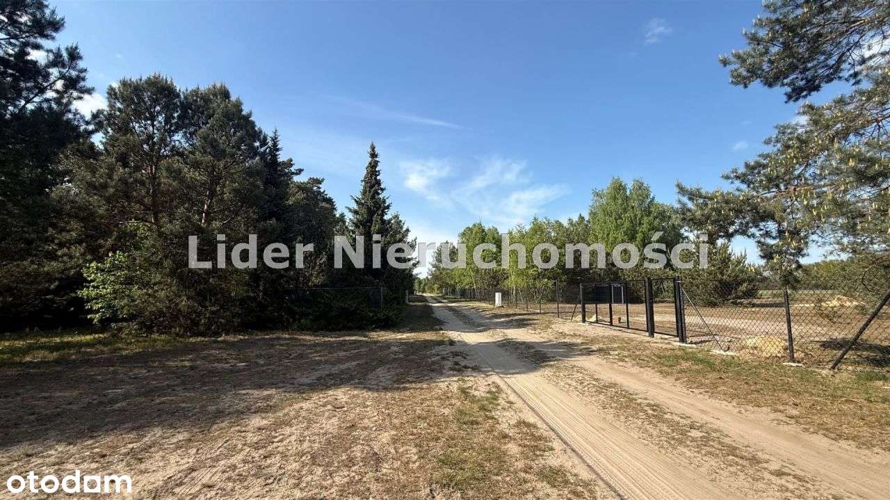 Działka, 4 100 m², Ldzań - Pełny obrazek: 4/4