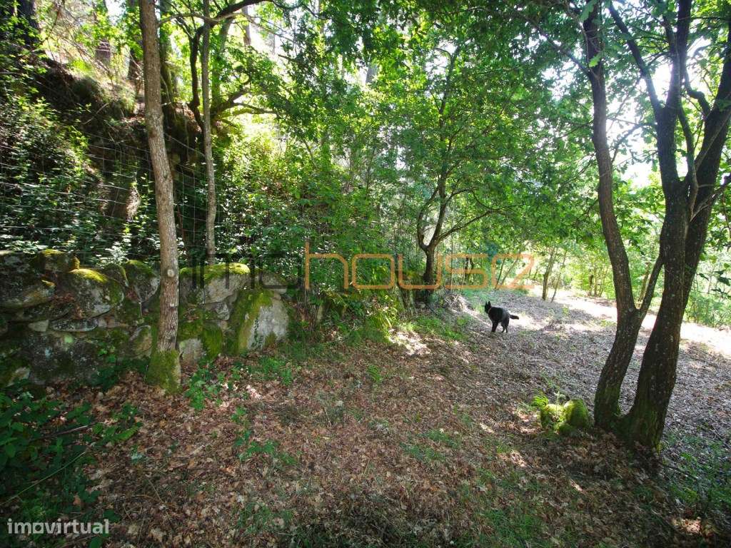 Quinta 2,6ha - Vista panorâmica e várias edificações-56