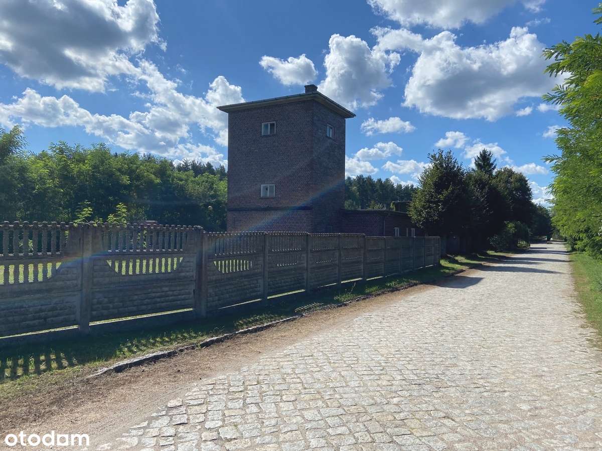 4 niezależne lokale nieopodal lasu i jeziora-17