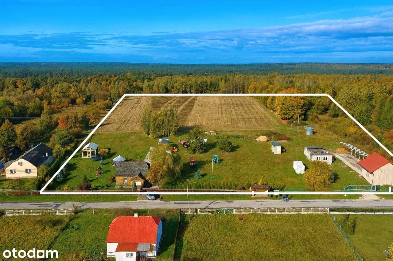 Siedlisko na szczycie Mazowsza – 3,8 ha z potencjałem rozwoju.-1