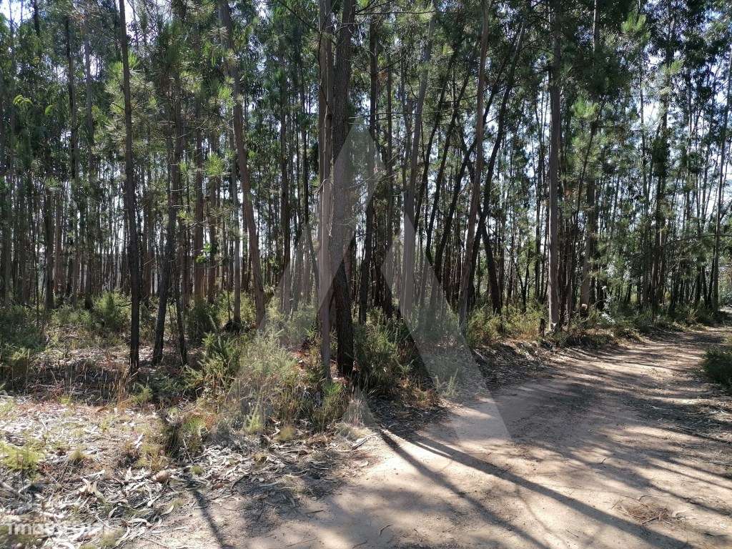 Terreno destinado a construção em Águeda - Grande imagem: 3/10