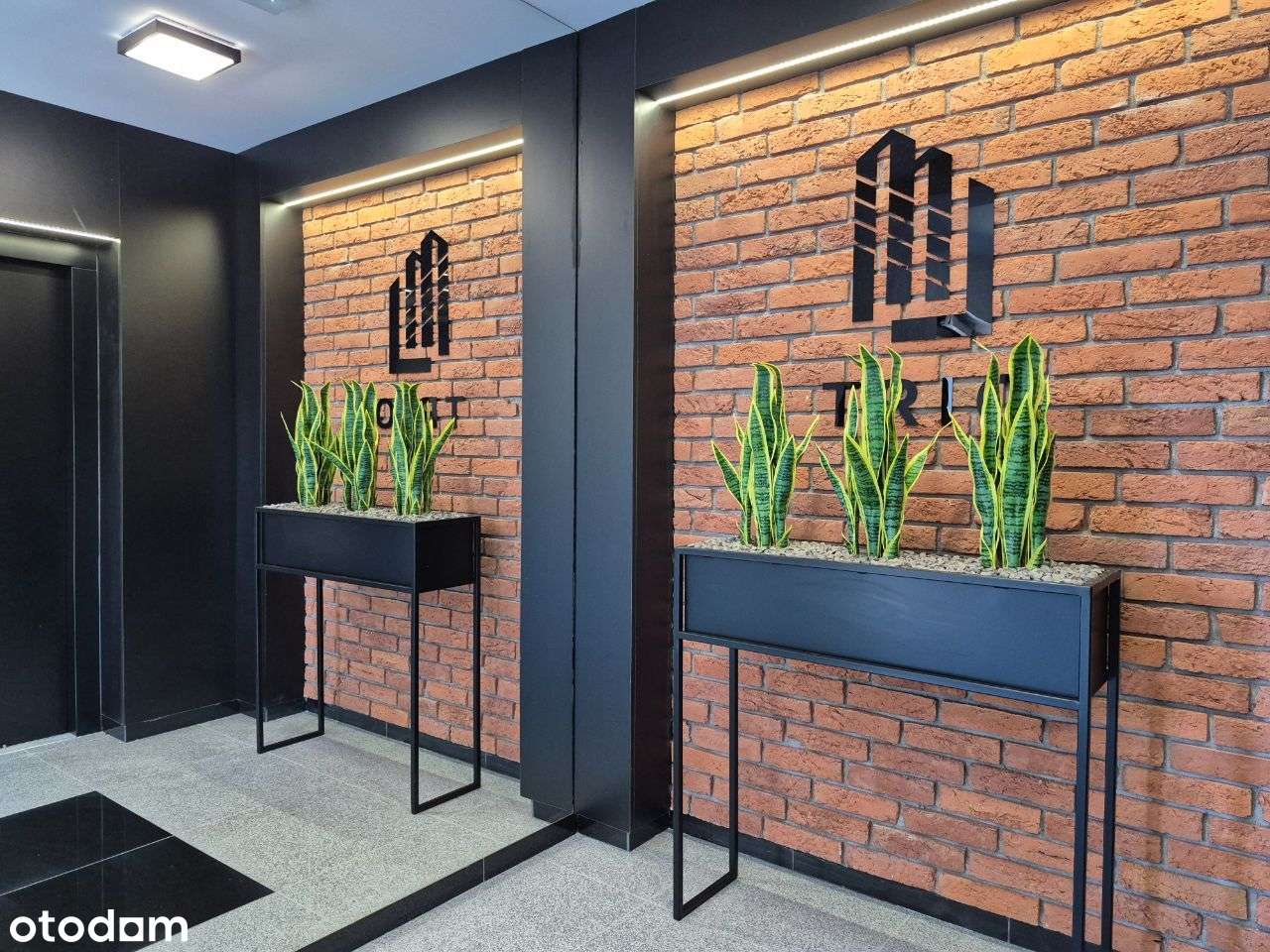 Funkconalne 3 pokojowe ze skrytką! TRIO! M2.4 - Pełny obrazek: 4/10