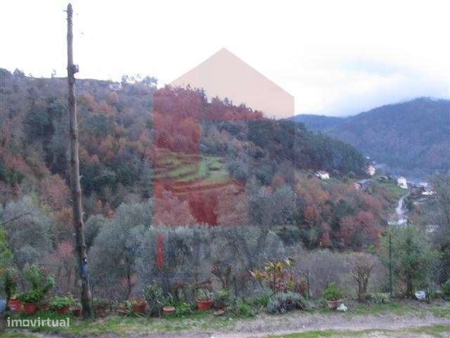 Quinta em Covas - Grande imagem: 5/6