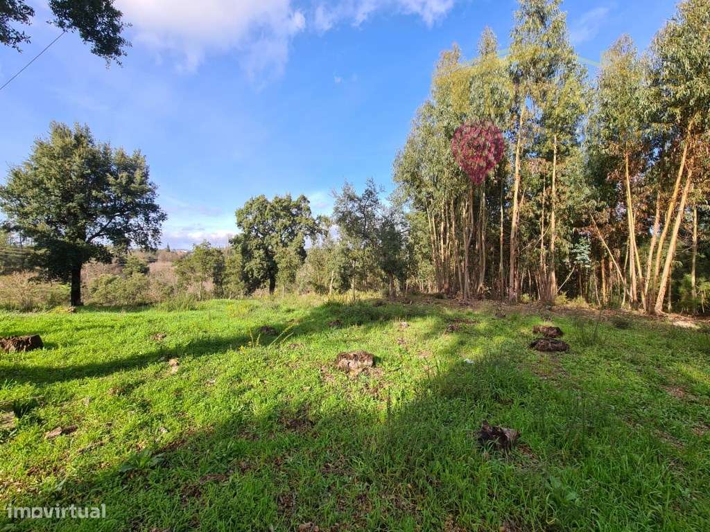 Terreno para construção de moradia em Figueiró dos Vinhos - Grande imagem: 5/18