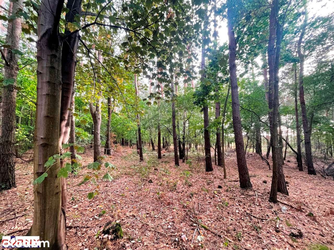 sprzedam lub oddam w dzierżawę-3