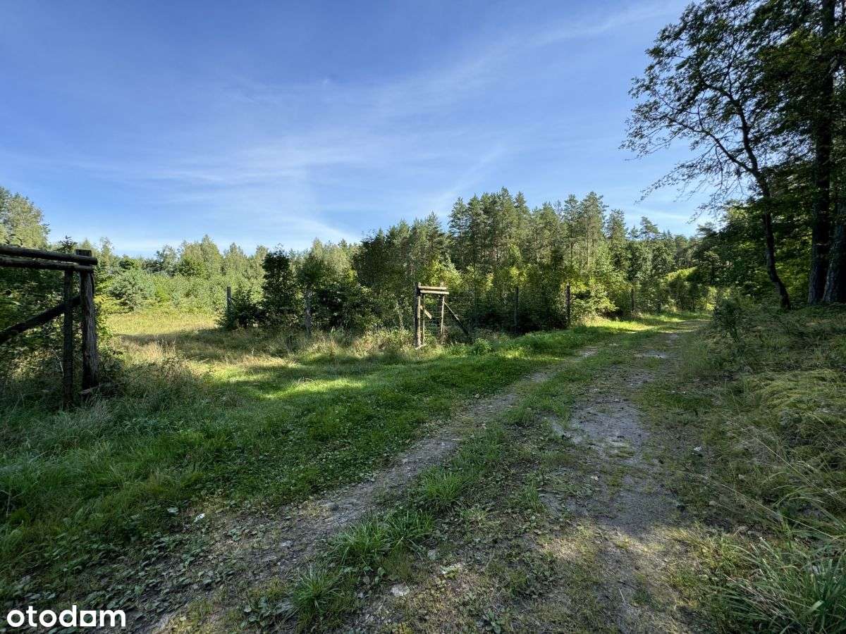 Klimatyczna duża działka blisko jeziora i lasu-13