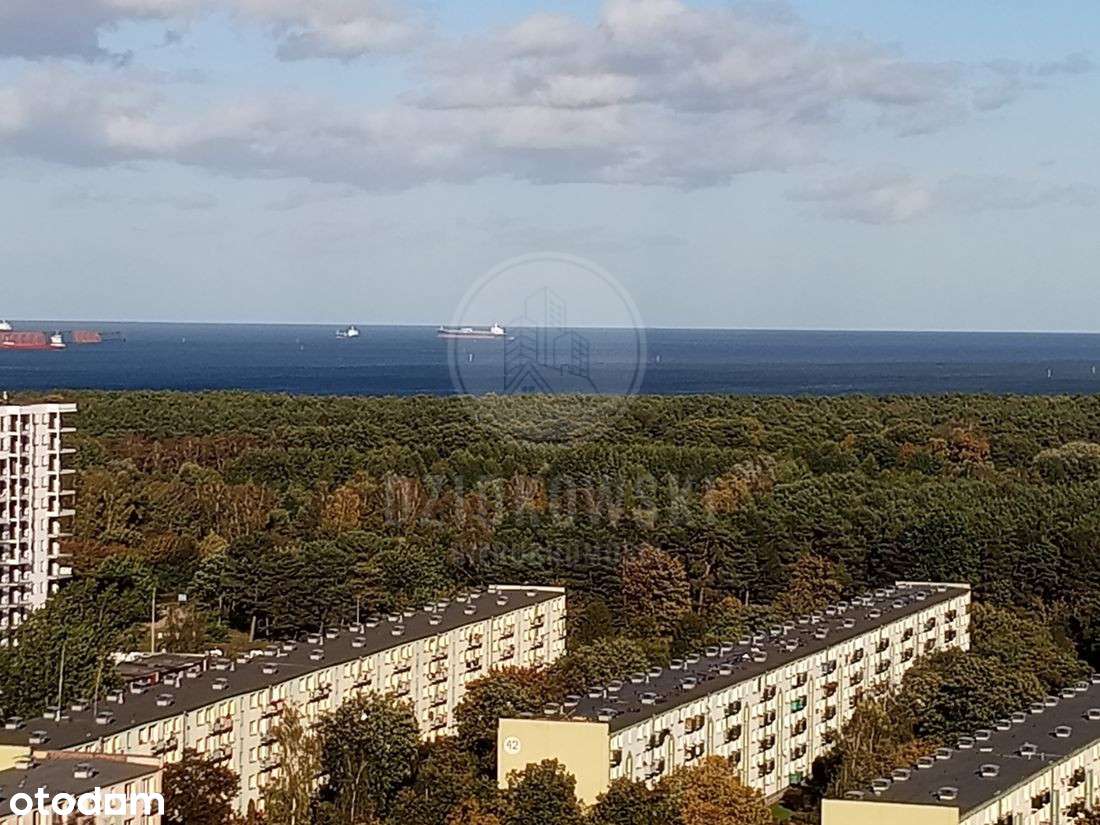 469307 - Pełny obrazek: 4/10