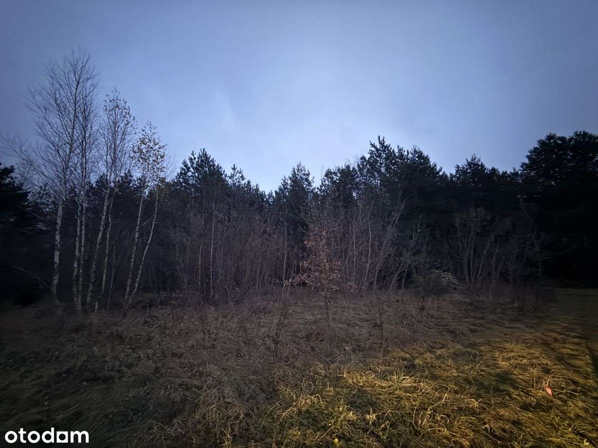 Okazja! Duża działka rolna w Borkowie 9802m2-4