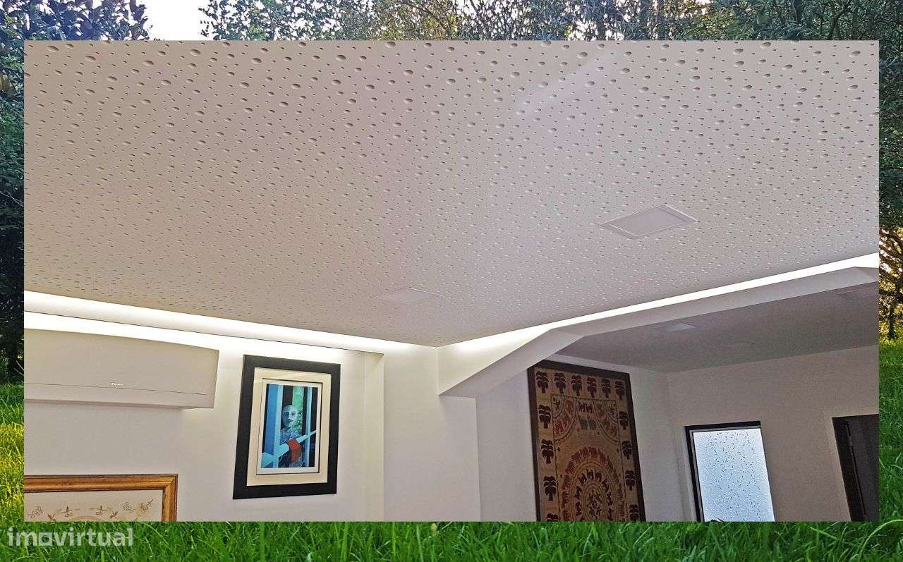 Quintinha com Mata secular-38