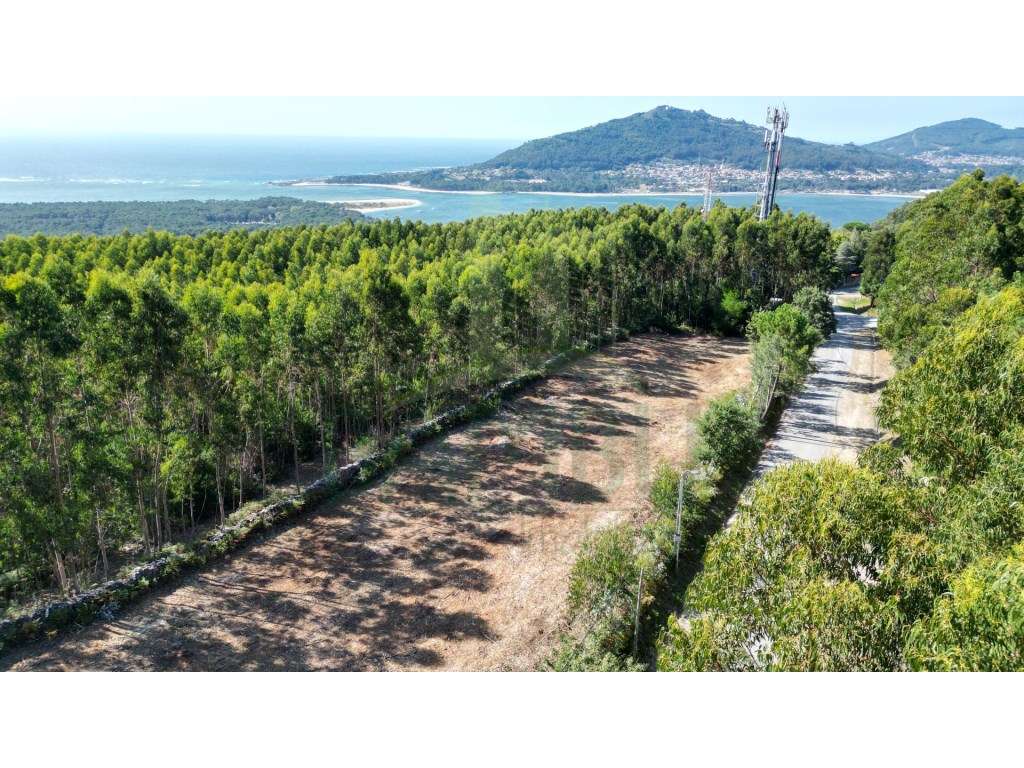 Terreno de construção, perto do Monte de Santo Antão! - Grande imagem: 4/10