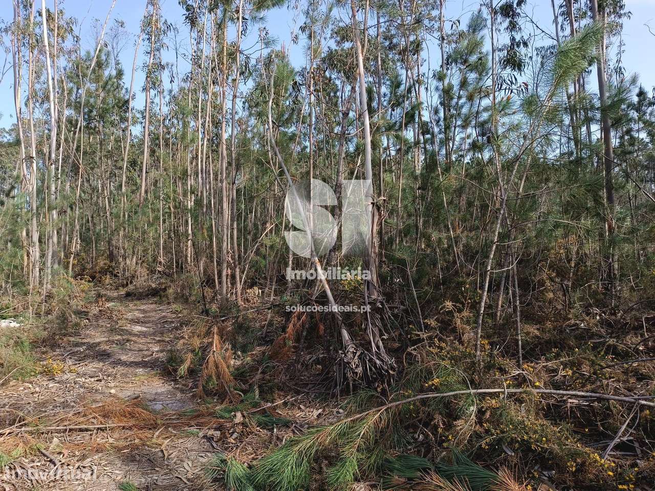 Vende Terreno - Grande imagem: 2/5