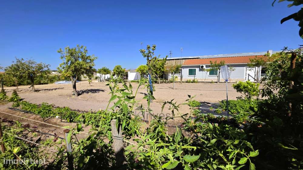 Quinta  com Moradia T6, Casa T2, Piscina Aquecida -  Salvaterra de Mag-50