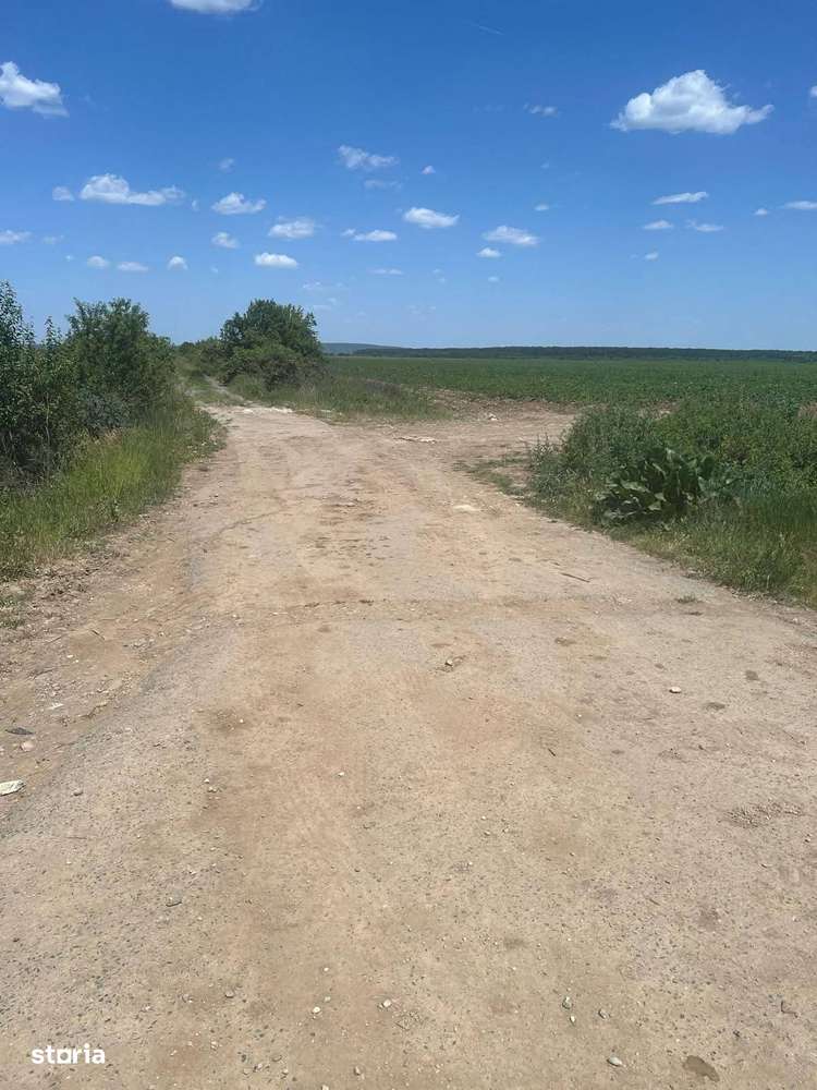 Vanzare teren extravilan la DN71, iesirea din Bungetu Dambovita-2
