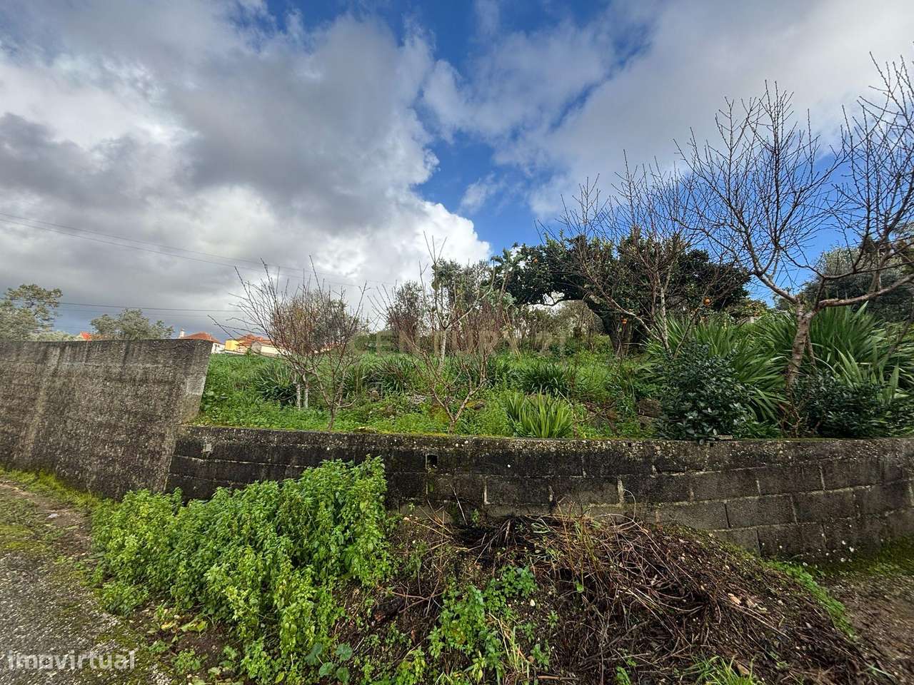 Terreno com viabilidade construtiva em Calvaria, Vermoil, Pombal-5