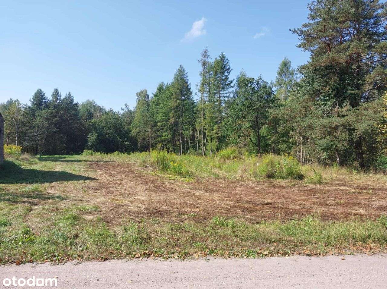 Pięknie położona z Wz k/Cegłowa - Pełny obrazek: 4/9