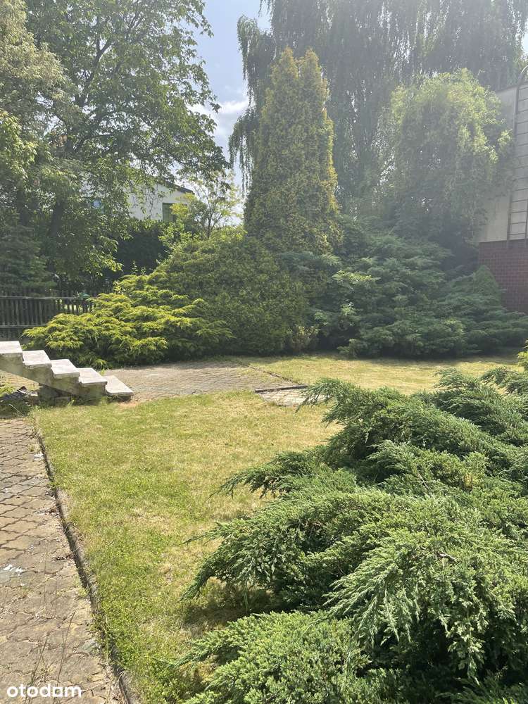 Dom na Ptasim Osiedlu sprzedam BEZPOŚREDNIO - Pełny obrazek: 5/6