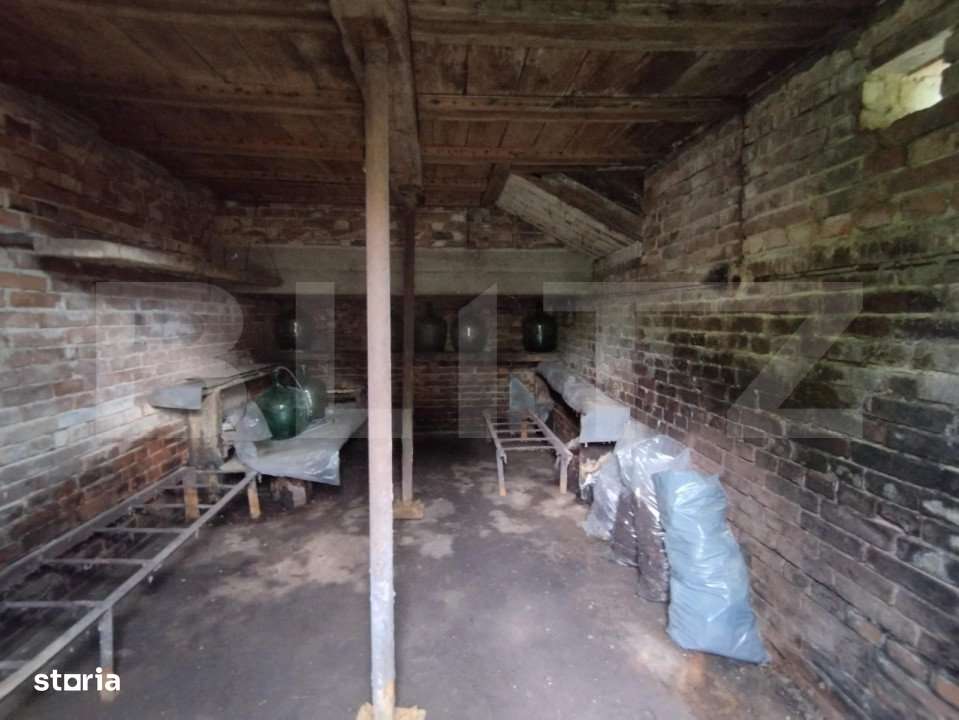 Casa individuala cu crama, teren 6700mp, Plopu - Imagine principală: 4/8