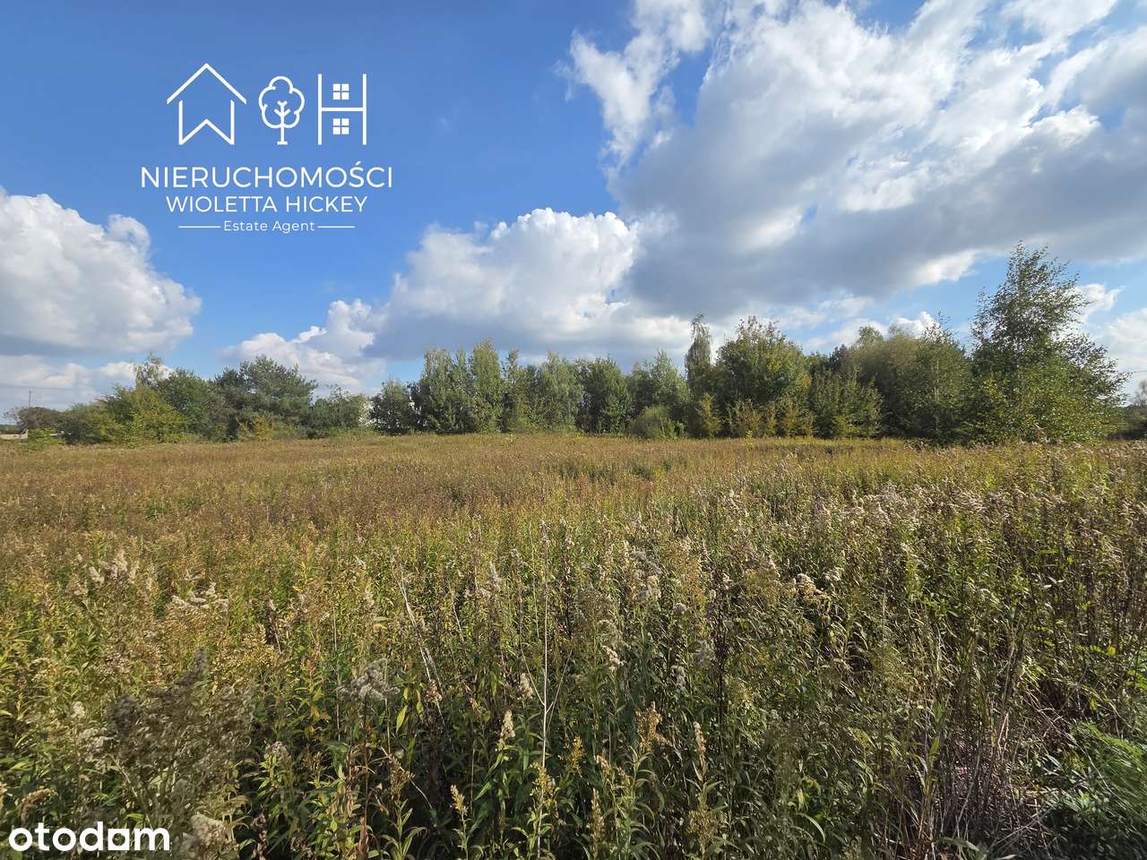 2 Działki w otoczeniu drzew – Wyszyna, gmina Stara Biała k Płocka-10