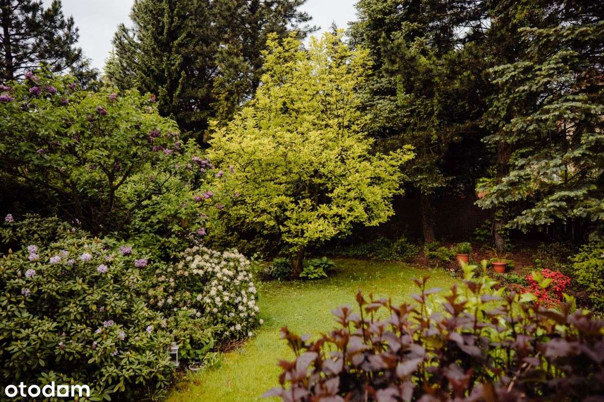 Narożny segment dla rodziny Łódź Bałuty-4