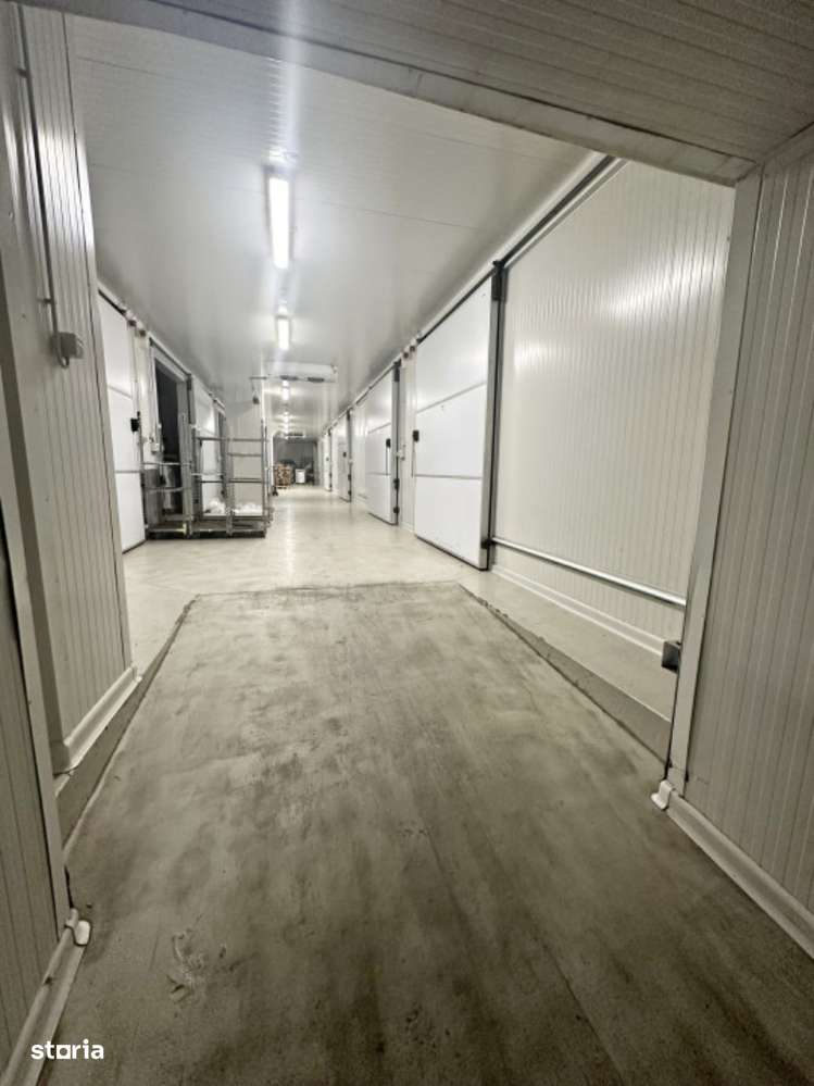 Gaminvest Hale frigorifice  în zona Est, Centura Oradea, Bihor,A1870 - Imagine principală: 3/5