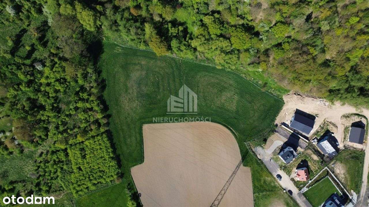 Działki budowlane Skolwin ze ścianą lasu! - Pełny obrazek: 3/6